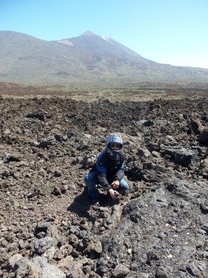 Bild zum Feedback von Kawarider