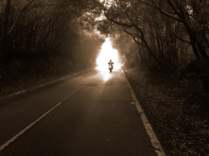 Bild zum Feedback von Olly