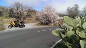 Bild zum Feedback von Ulrich