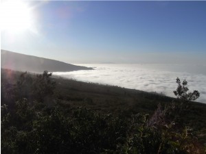 Bild zum Feedback von Falko Scholz