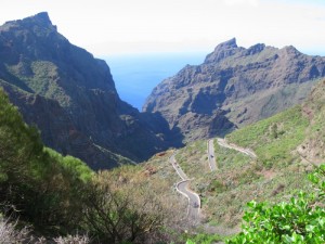 Bild zum Feedback von Clemens Ogiermann