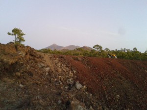 Bild zum Feedback von Falko