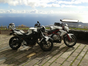 Bild zum Feedback von Dani Ramp