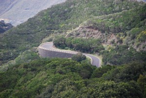 Bild zum Feedback von Dieter