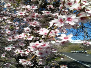 Bild zum Feedback von Tina