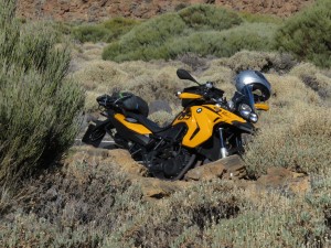 Bild zum Feedback von Birgit Labes