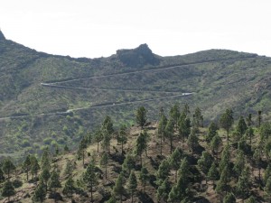 Bild zum Feedback von F. von der Osten