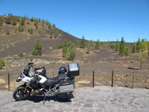 Bild zum Feedback von Marcus Williams